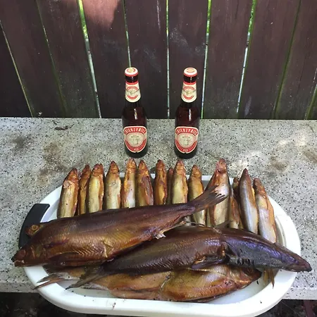 Pogo Dom Nad Narwia - 4 Sypialnie, Duza Sauna, Balia, Pomost, Plac Zabaw Villa