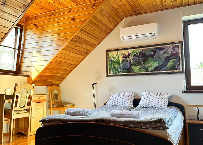 Pogo Dom Nad Narwia - 4 Sypialnie, Duza Sauna, Balia, Pomost, Plac Zabaw *